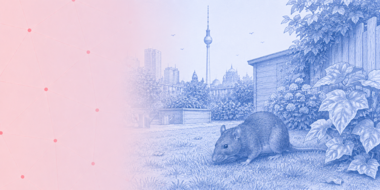 Ratten im Garten